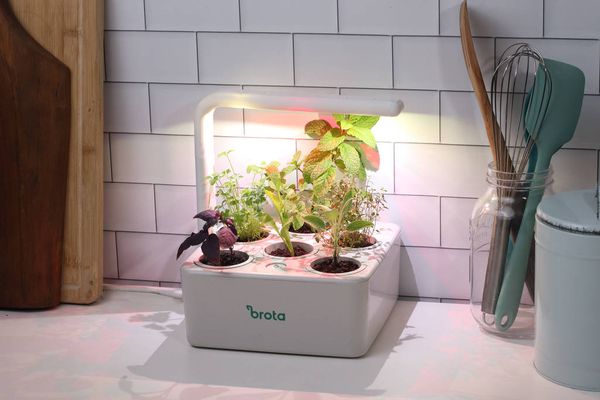 Horta inteligente da Brota, com iluminação de LED, que custa R$ 379 no ecommerce da marca