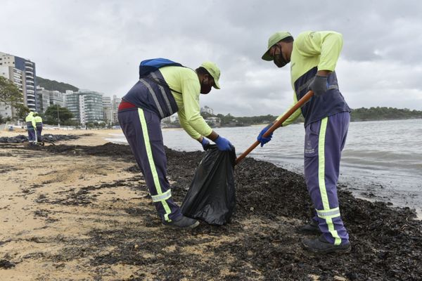 Agentes da Prefeitura de Vila Velha retiraram sacolas de resíduos orgânicos da Praia da Sereia por Ricardo Medeiros