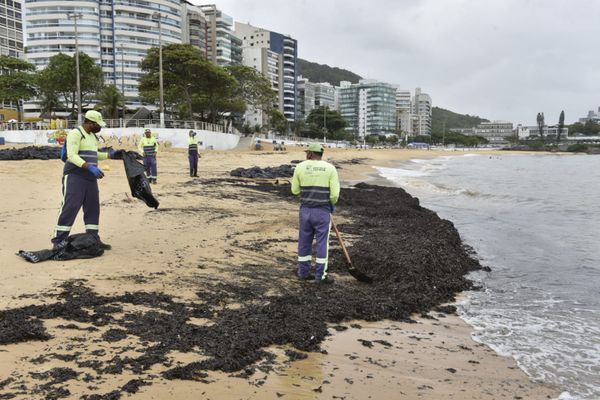 Agentes da Prefeitura de Vila Velha retiraram sacolas de resíduos orgânicos da Praia da Sereia por Ricardo Medeiros