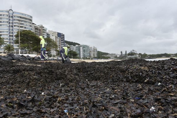 Agentes da Prefeitura de Vila Velha retiraram sacolas de resíduos orgânicos da Praia da Sereia por Ricardo Medeiros