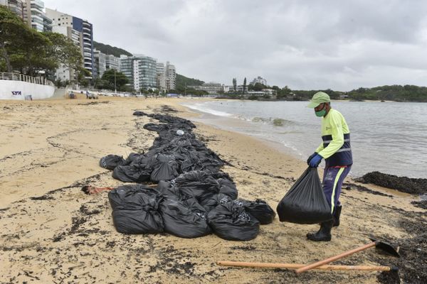 Agentes da Prefeitura de Vila Velha retiraram sacolas de resíduos orgânicos da Praia da Sereia por Ricardo Medeiros