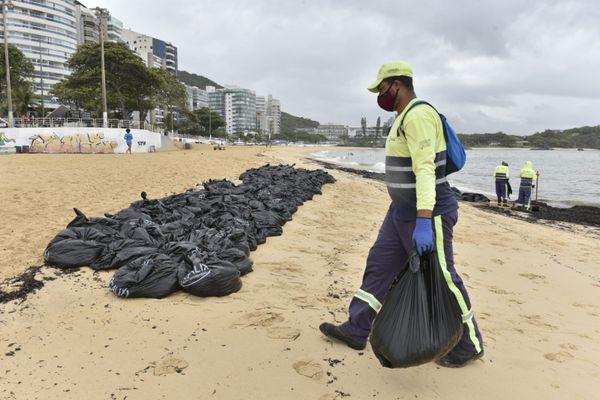Agentes da Prefeitura de Vila Velha retiraram sacolas de resíduos orgânicos da Praia da Sereia por Ricardo Medeiros