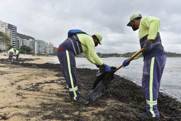 Agentes da Prefeitura de Vila Velha retiraram sacolas de resíduos orgânicos da Praia da Sereia por Ricardo Medeiros