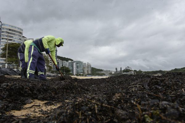Agentes da Prefeitura de Vila Velha retiraram sacolas de resíduos orgânicos da Praia da Sereia