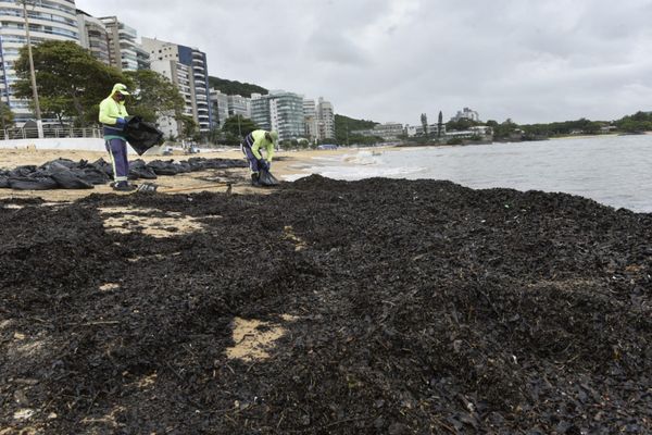 Agentes da Prefeitura de Vila Velha retiraram sacolas de resíduos orgânicos da Praia da Sereia por Ricardo Medeiros