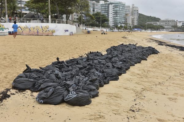 Agentes da Prefeitura de Vila Velha retiraram sacolas de resíduos orgânicos da Praia da Sereia por Ricardo Medeiros