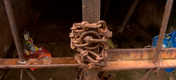 Irmão de dono dos cachorros garante que o portão estava fechado