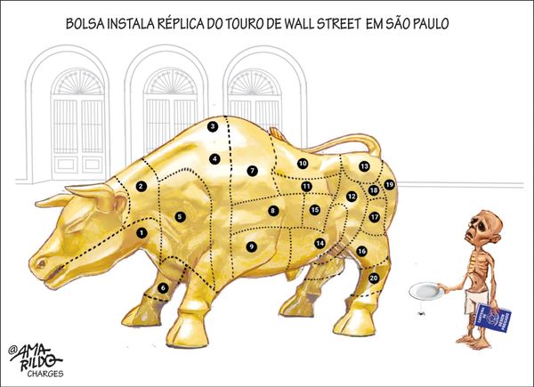 Carne de touro