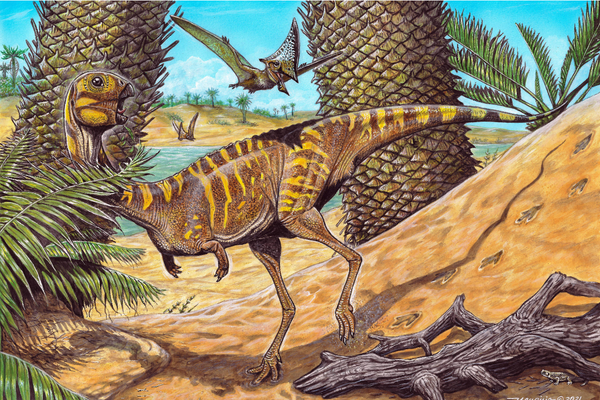 Ilustração do dinossauro brasileiro Berthasaura leopoldinae