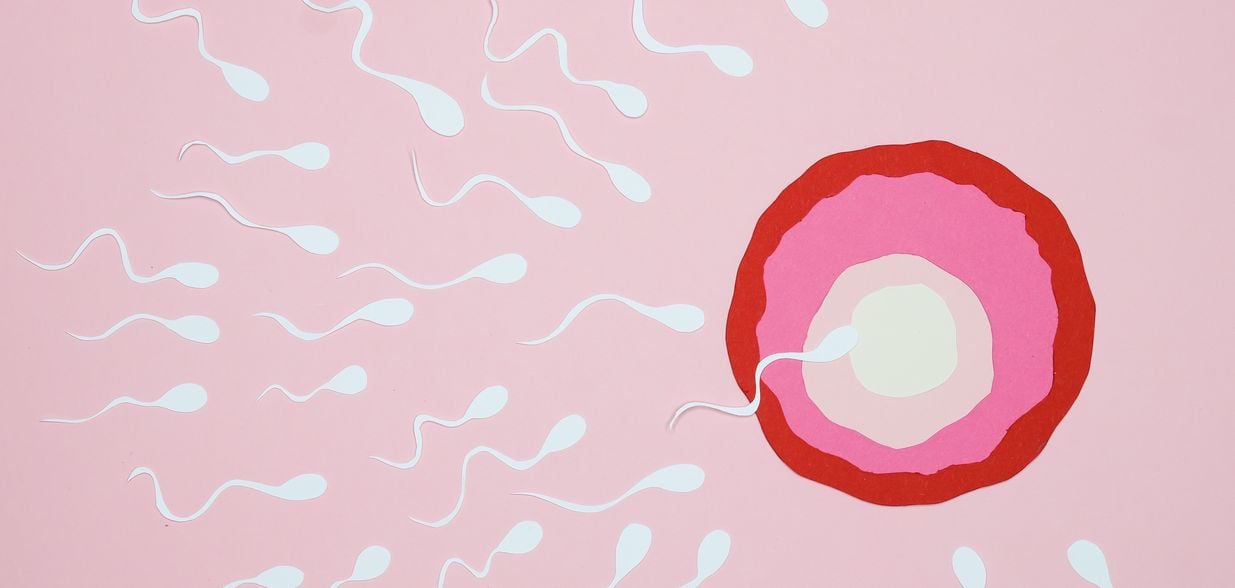 Ouça entrevista com a especialista em Reprodução Assistida, Cindy White