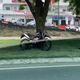 Imagem - Idoso morre atropelado por moto ao atravessar a BR 262 em Cariacica