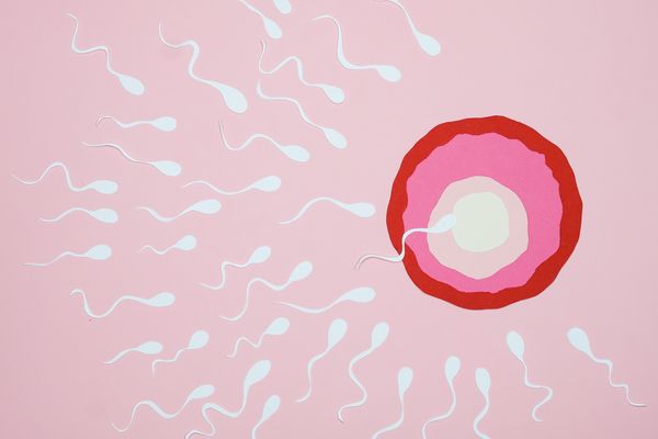 Fertilização, reprodução assistida