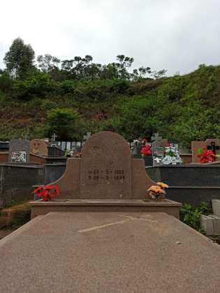 Destruição e furtos em cemitério na localidade de São João de Viçosa, em Venda Nova do Imigrante por Reprodução/ redes sociais