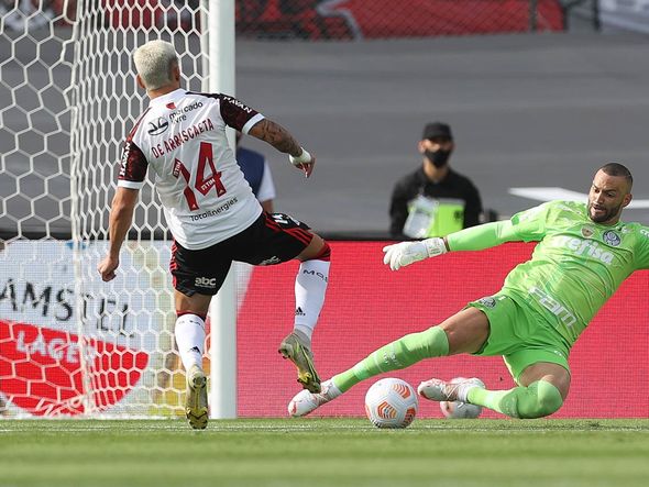 Libertadores: Palmeiras x Flamengo por Cesar Greco/ Palmeniras / Divulgação