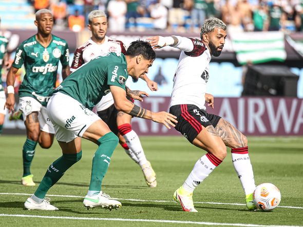 Palmeiras e Flamengo se enfrentam na final da Libertadores por Paulo Souza/Divulgação