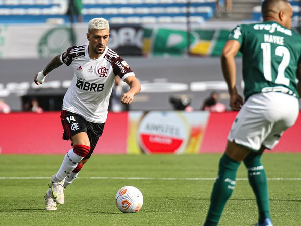 Palmeiras e Flamengo se enfrentam na final da Libertadores por Paulo Souza/Divulgação