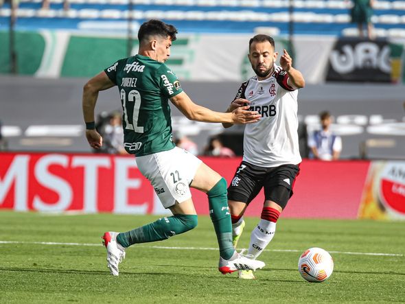 Palmeiras e Flamengo se enfrentam na final da Libertadores por Paulo Souza/Divulgação