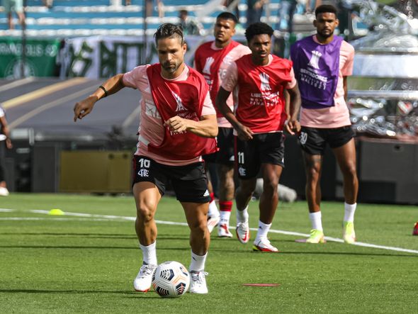 Palmeiras e Flamengo se enfrentam na final da Libertadores por Paulo Souza/Divulgação