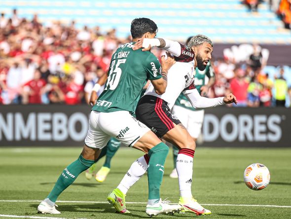 Palmeiras e Flamengo se enfrentam na final da Libertadores por Paulo Souza/Divulgação