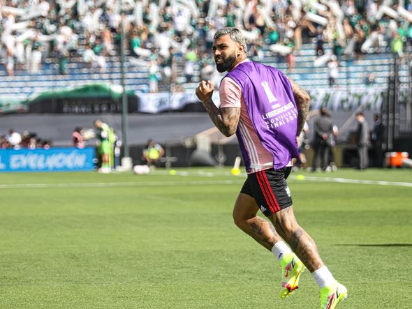Palmeiras e Flamengo se enfrentam na final da Libertadores por Paulo Souza/Divulgação