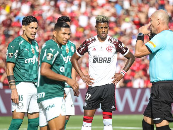 Palmeiras e Flamengo se enfrentam na final da Libertadores por Paulo Souza/Divulgação