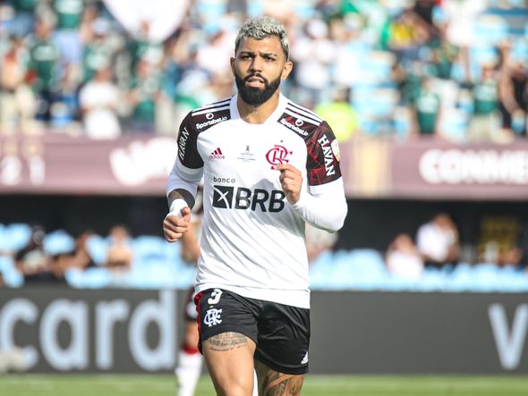 Palmeiras x Flamengo na final da Libertadores por Paulo Souza/Divulgação