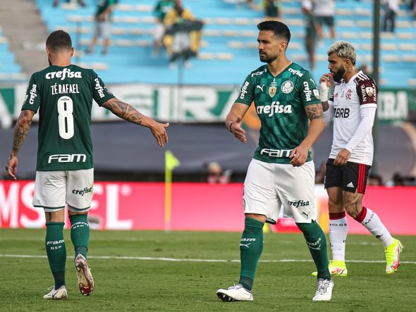 Palmeiras x Flamengo na final da Libertadores por Paulo Souza/Divulgação
