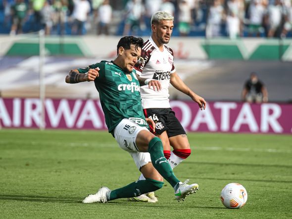 Palmeiras x Flamengo na final da Libertadores por Paulo Souza/Divulgação