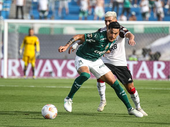 Palmeiras x Flamengo na final da Libertadores por Paulo Souza/Divulgação