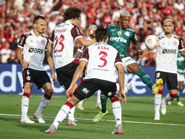 Palmeiras x Flamengo na final da Libertadores por Paulo Souza/Divulgação
