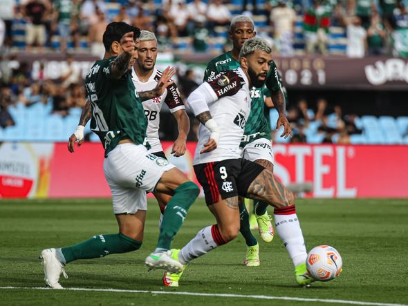 Palmeiras x Flamengo na final da Libertadores por Paulo Souza/Divulgação