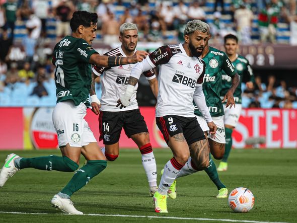 Palmeiras x Flamengo na final da Libertadores por Paulo Souza/Divulgação
