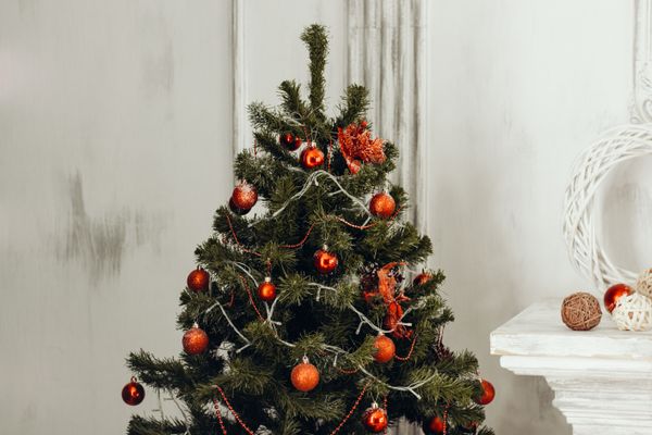 Qual é o dia certo para montar a Árvore de Natal e como decorá-la | CBN  Vitória