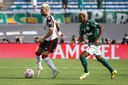 Palmeiras e Flamengo se enfrentam na final da Libertadores(Paulo Souza/Divulgação)