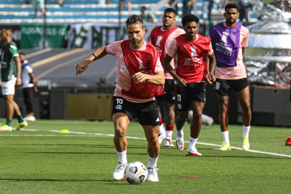 Palmeiras e Flamengo se enfrentam na final da Libertadores por Paulo Souza/Divulgação