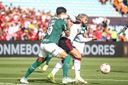 Palmeiras e Flamengo se enfrentam na final da Libertadores(Paulo Souza/Divulgação)
