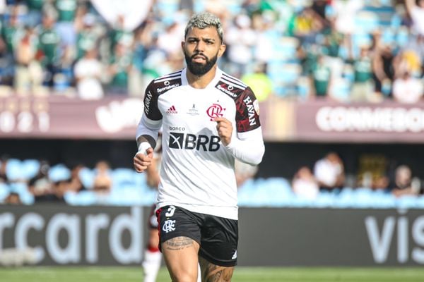 Palmeiras x Flamengo na final da Libertadores por Paulo Souza/Divulgação