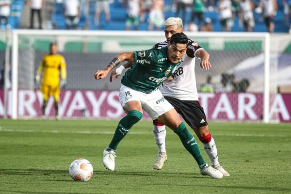 Palmeiras x Flamengo na final da Libertadores por Paulo Souza/Divulgação
