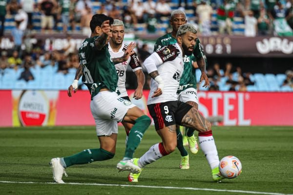 Palmeiras x Flamengo na final da Libertadores por Paulo Souza/Divulgação