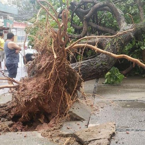 A previsão do Incaper mostrava que, a partir da tarde, poderia ocorrer pancadas de chuva com trovoadas