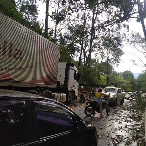 Uma árvore caiu na BR 101, em Iconha, e impediu o tráfego de veículos. A via foi interditada. Em Vargem Alta, a ES 164 também teve trânsito interrompido