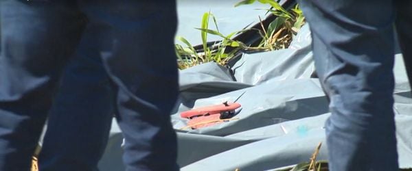 Corpo de Junia Souza Damasceno Bonfim foi encontrado em uma área de mata entre o Complexo de Xuri e a BR 101, em Vila Velha
