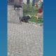 Imagem - Homem é morto a tiros e mulher é baleada em praça na Serra