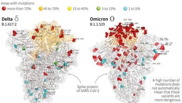 Imagens comparam as mutações da Ômicron com a Delta