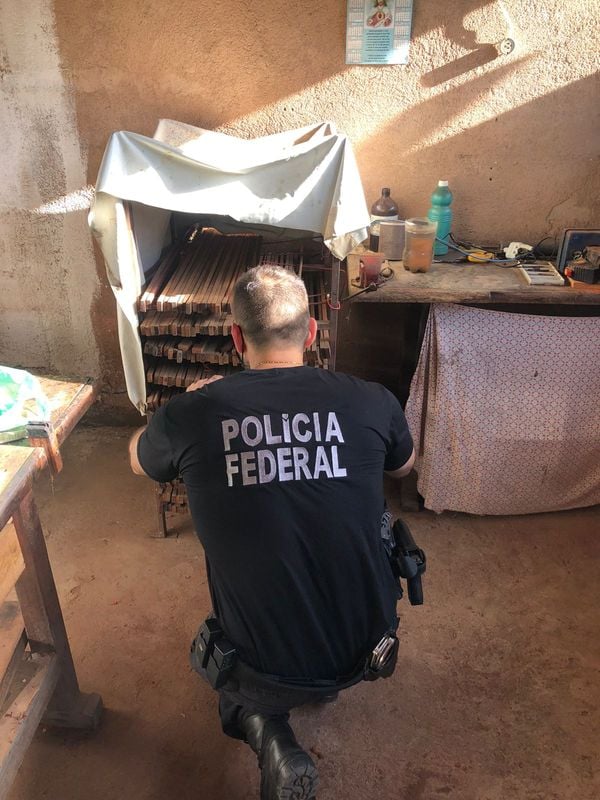 PF mira exploração ilegal de pau-brasil com lucro milionário no ES por Polícia Federal