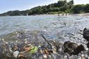 Banhistas ignoram aviso e se refrescam em praias impróprias para banho em Vitória(Ricardo Medeiros )