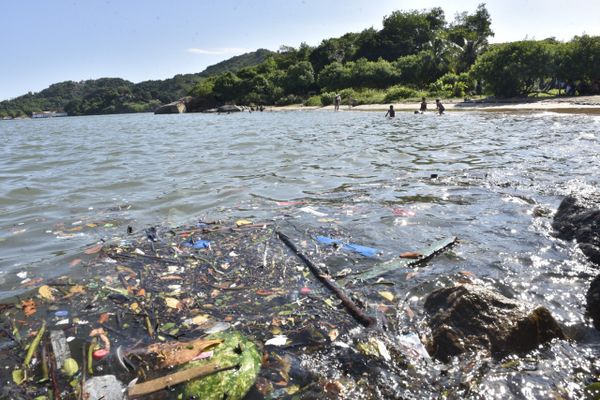 Banhistas ignoram aviso e se refrescam em praias impróprias para banho em Vitória por Ricardo Medeiros 