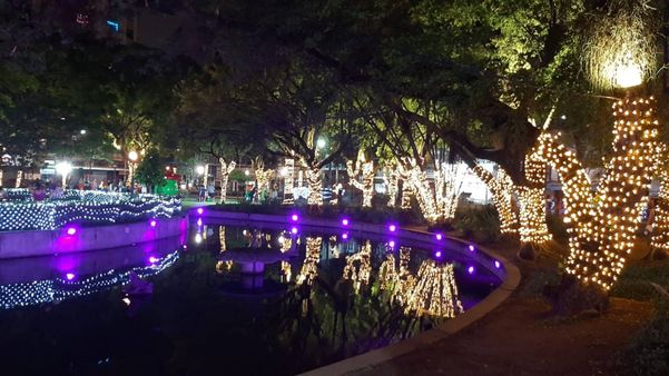 Inauguração da Vila do Papai Noel no Parque Moscoso em Vitória por Carlos Alberto Silva