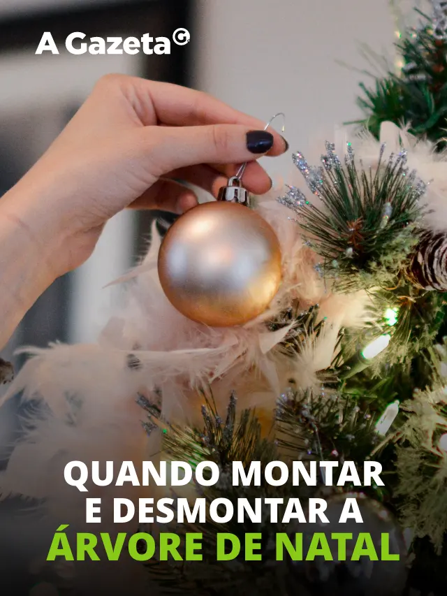 Montando a Árvore de Natal! COMO MONTAR ÁRVORE DE NATAL 