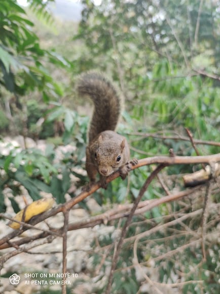 Poço do Egito, no município de Iúna, na Região do Caparaó  por Divulgação/ Txai Damiano 